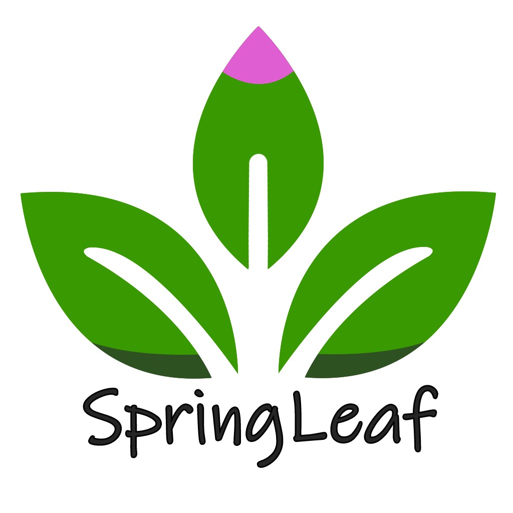 叶小羽SpringLeaf